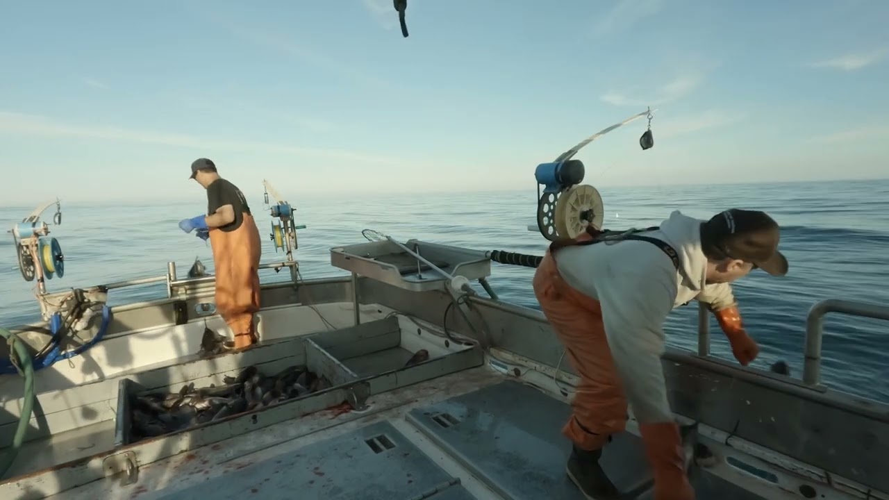 Jigging for Rockfish and Cod! Fishing in the Gulf of Alaska!