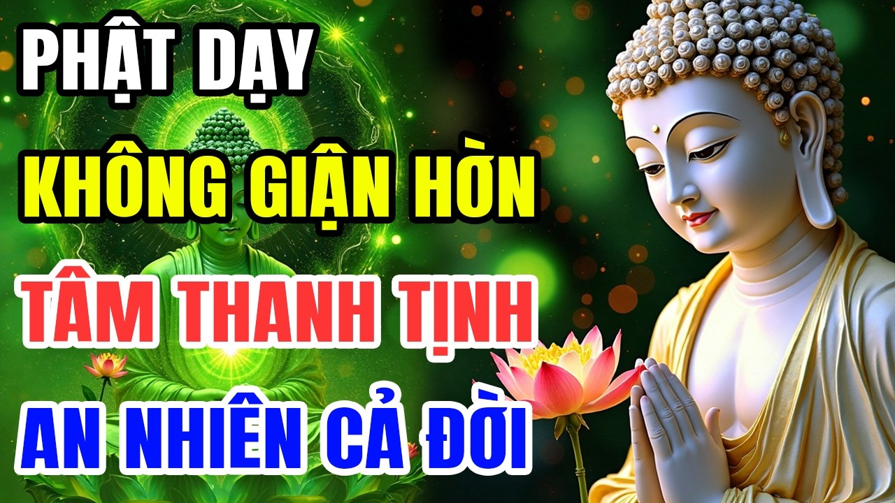 15 Ph&uacute;t Bu&ocirc;ng Xả Mỗi Tối - Nghe Để T&acirc;m Bu&ocirc;ng Xả, Cuộc Đời Nhẹ Nh&agrave;ng Như M&acirc;y.