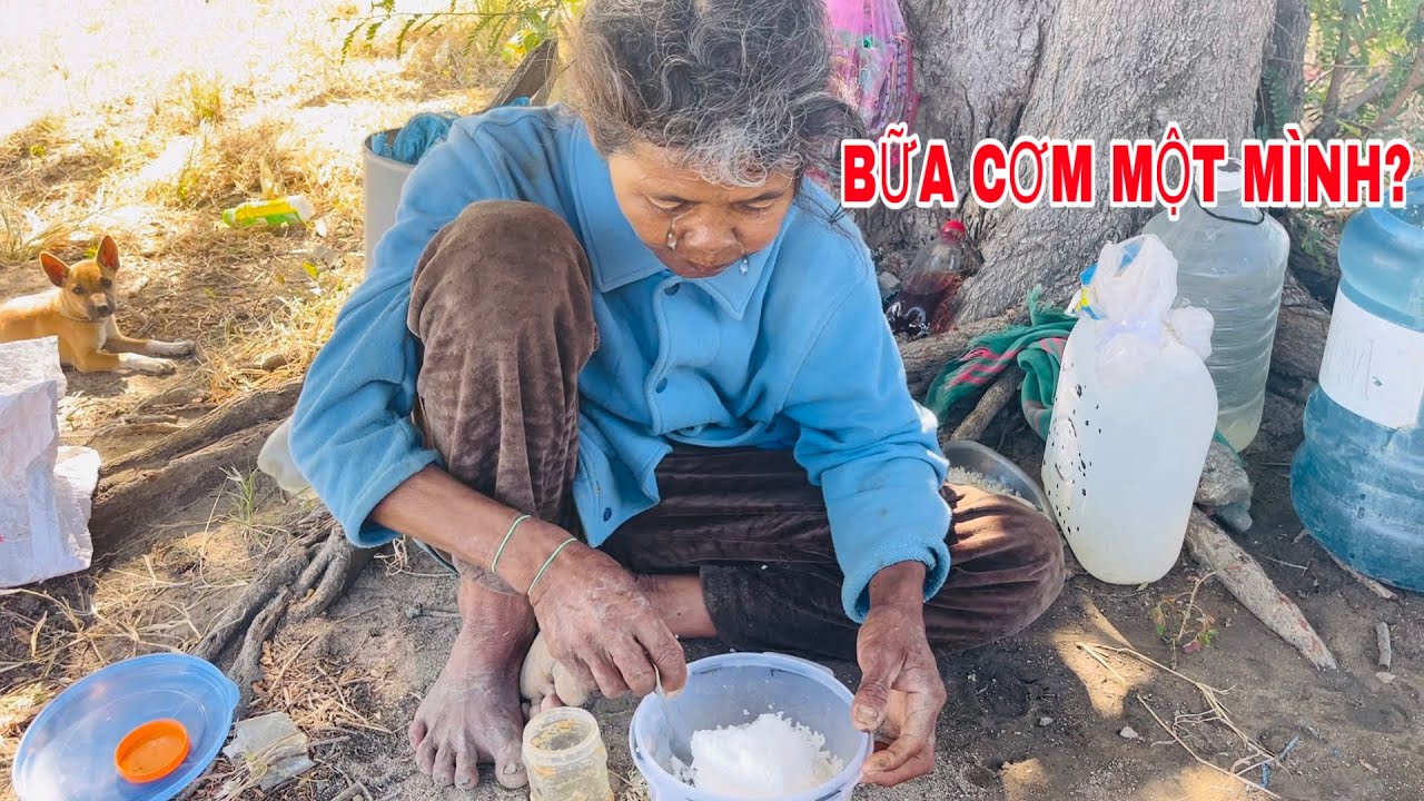 Bữa Cơm Một Mình Của Người Phụ Nữ Già Dưới Gốc Cây