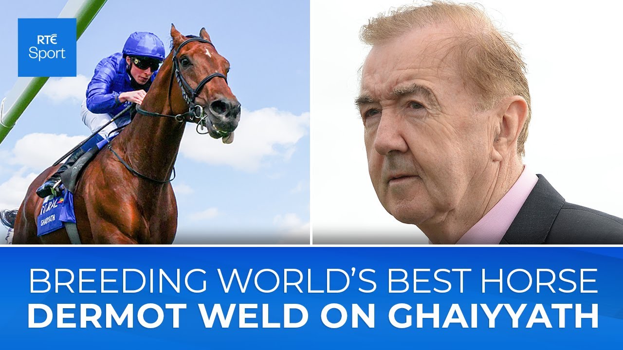 Dermot Weld and Ghaiyyath: Breeding the world's best horse