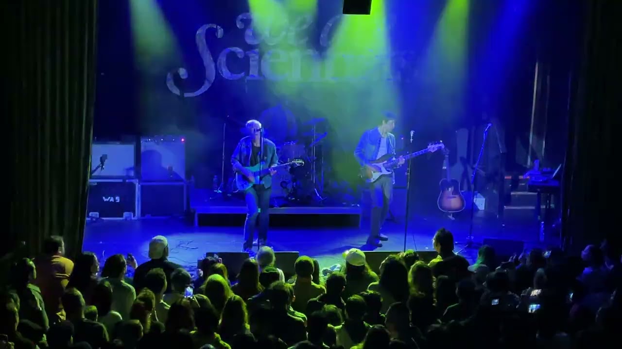 we are scientists - nobody move, nobody get hurt [live]