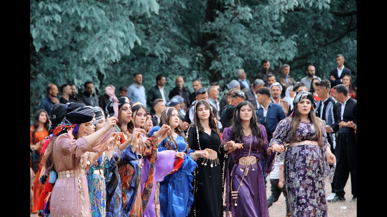 #kurdish #sırnak #uludere #yemişliköyü #aşiretdüğünleri #wedding