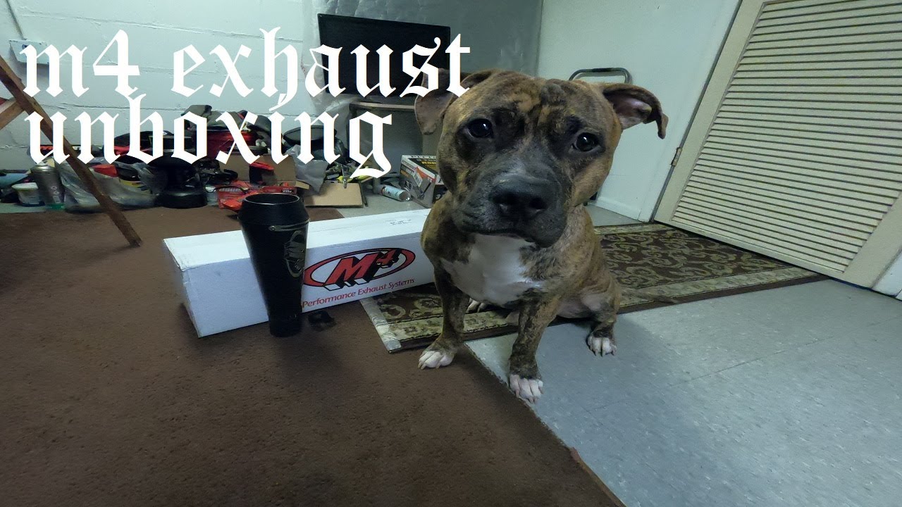 m4 exhaust unboxing & how to remove the baffle