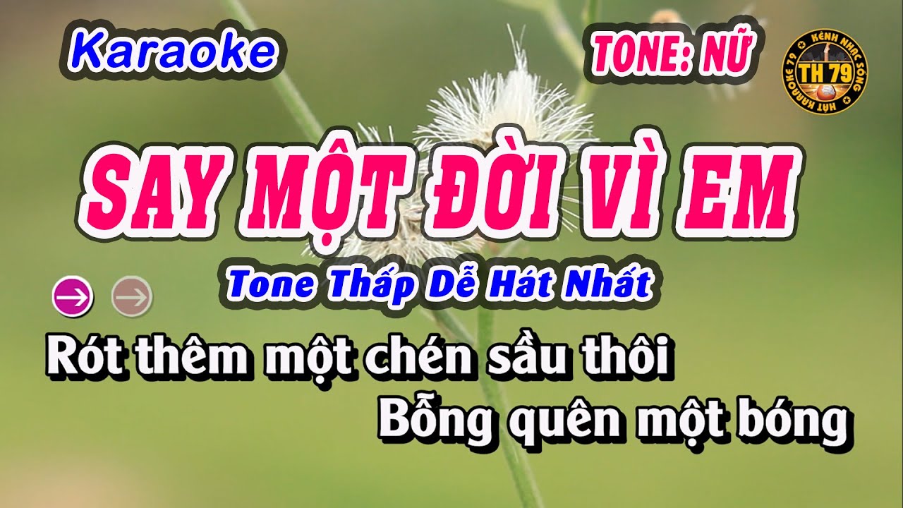 KARAOKE Say Một Đời Vì Em | Beat Guitar Chuẩn Hay | Tone Nữ Thấp Mới Nhất 2025 | KARAOKE 79
