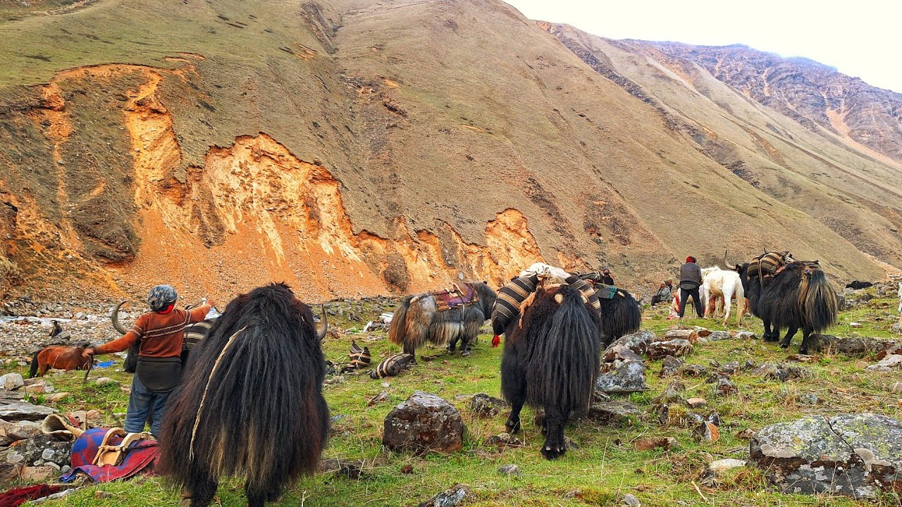 Mountains Rural Life In Nepal || PeacefulLife & Relaxing Life | Rural Village Documentary Videos ||