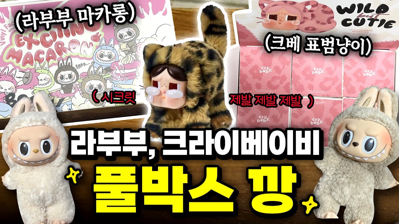 진.짜 !! 라부부 , 크라이베이비 풀박스 깡 해보기 🔥 2박스 Flex~ 💸 #라부부 #크라이베이비 #표범냥이 #마카롱 #팝마트 #풀박스