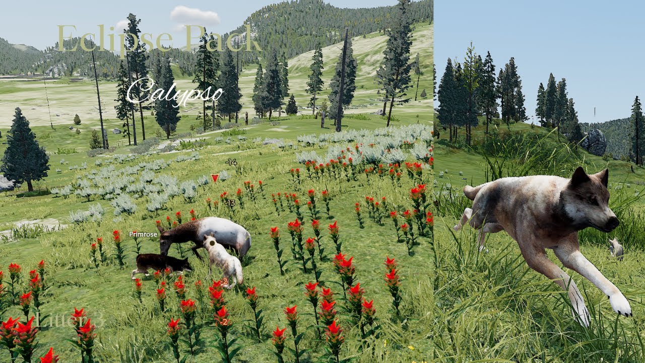 Eclipse Pack - Calypso L3 - Raise Pups/Rendezvous [WolfQuest Saga]