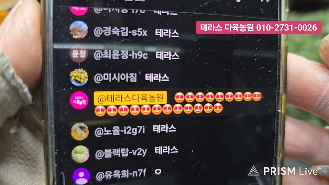 테라스 다육농원 라이브 방송  03/06