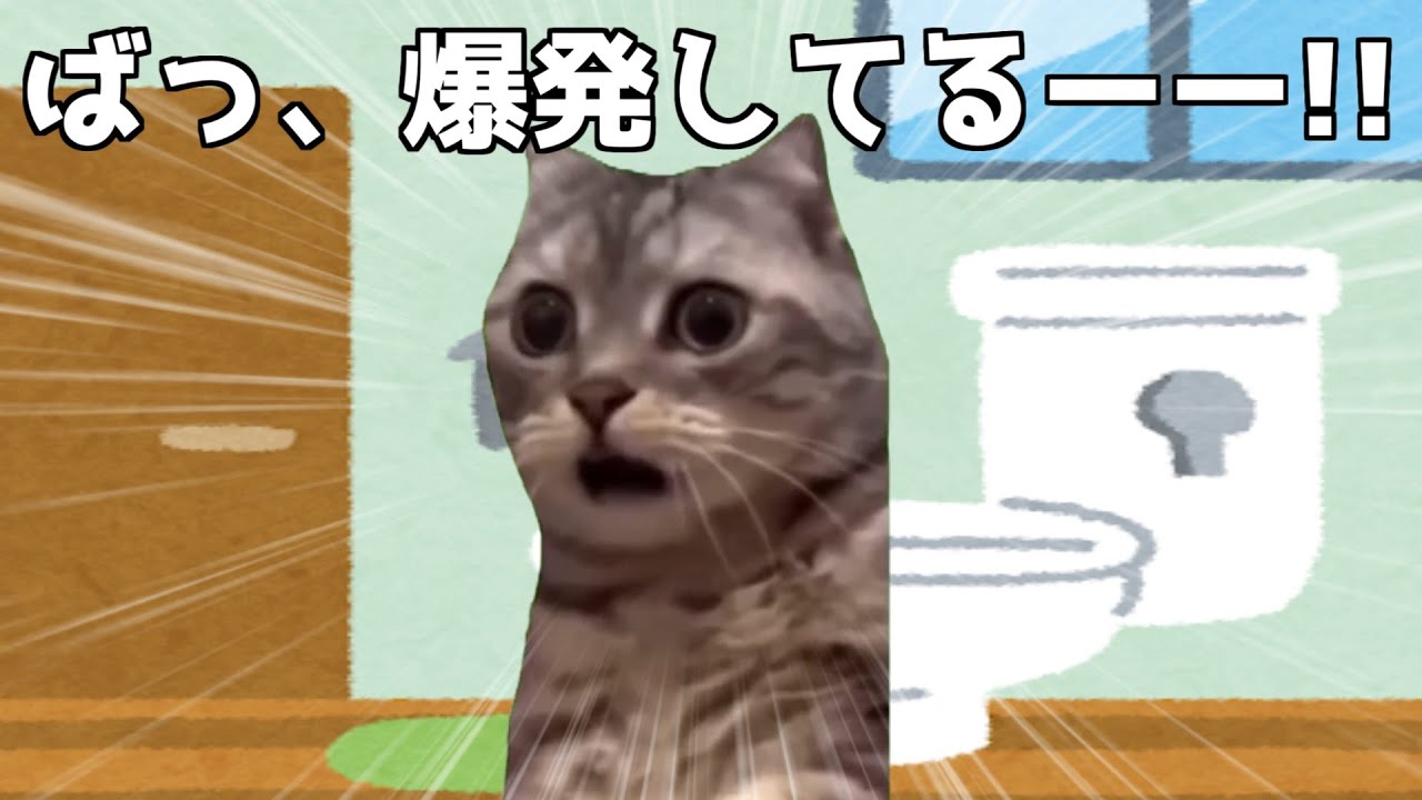 股間が爆発した話。 #猫ミーム #猫マニ #高宮真珠