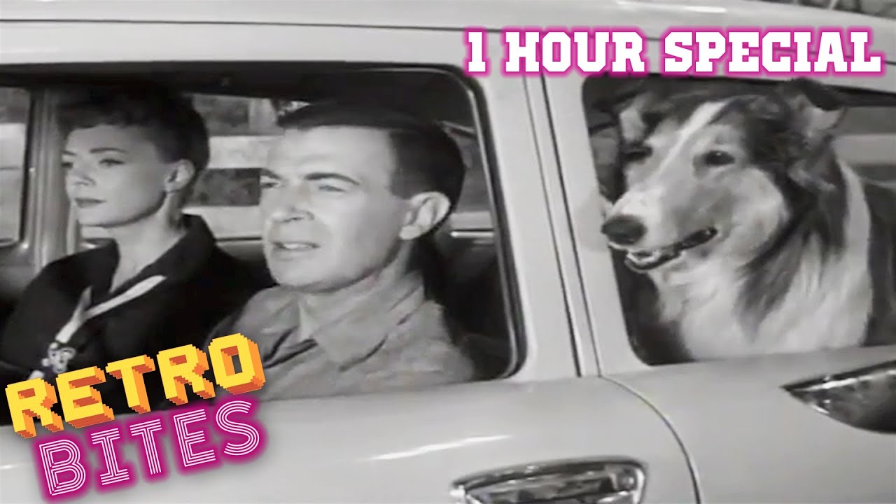 Lassie | 1 Hour Special | Lassie English Full Episodes  🐕