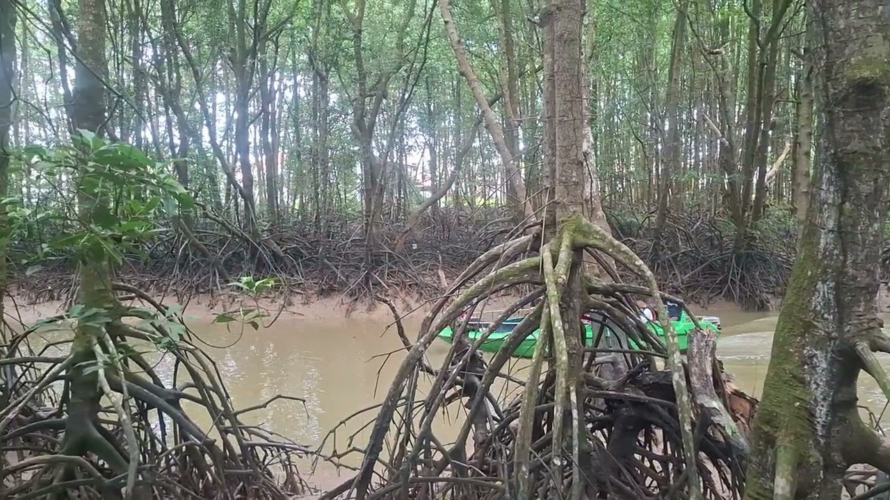 The Dudas -1 Mangrove Center Balikpapan