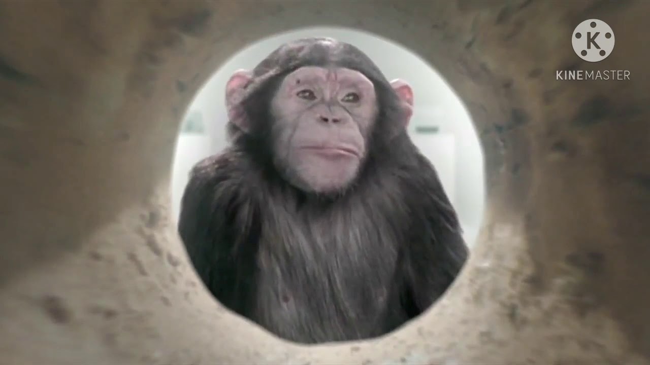 Wszystkie reklamy Serce i Rozum (HD)