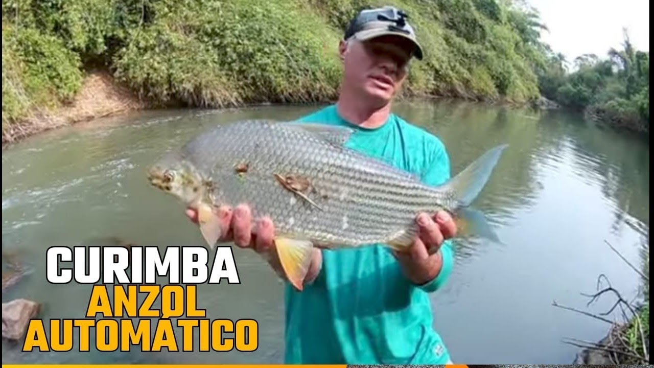 Anzol automático na pesca de curimba !!!!!