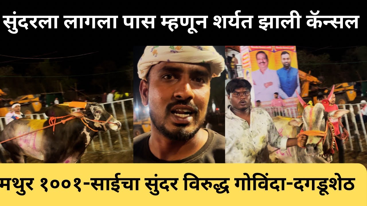 मथुर १००१-सुंदर विरुद्ध गोविंद-दगडू शर्यत का झाली कॅन्सल गौरव भाने 