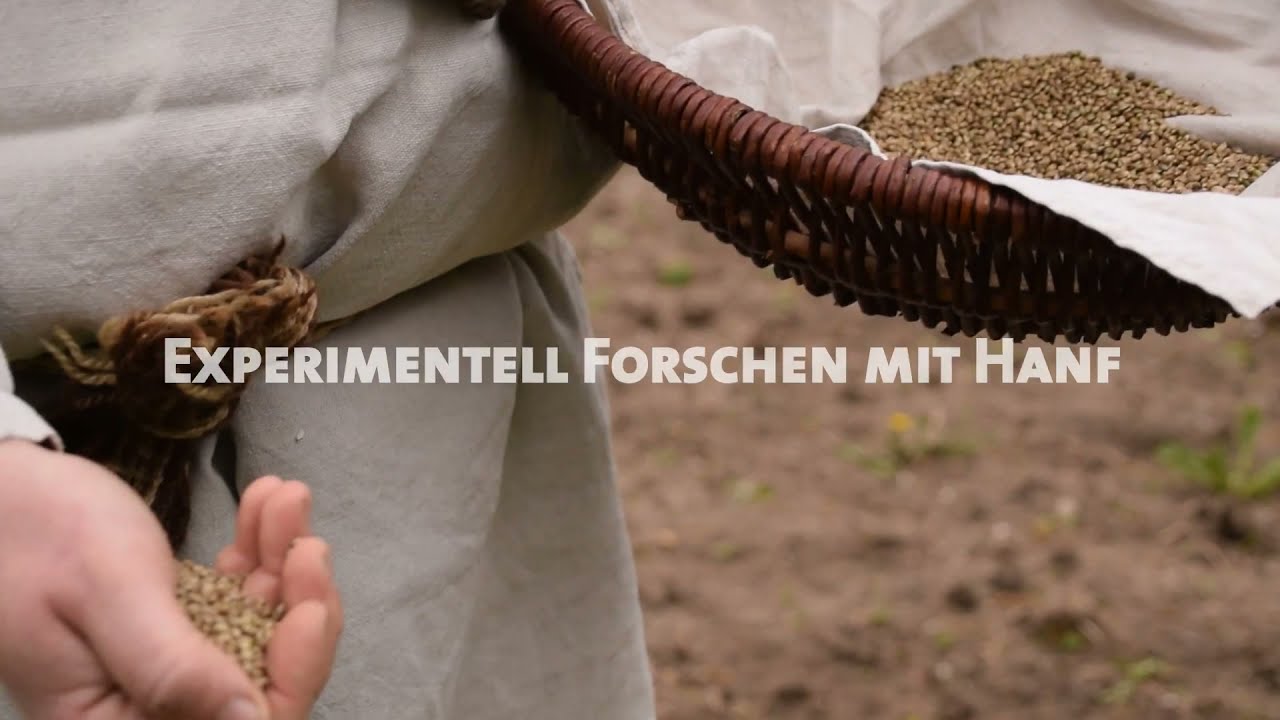 Experimentell Forschen mit Hanf | Museumsdorf D&uuml;ppel
