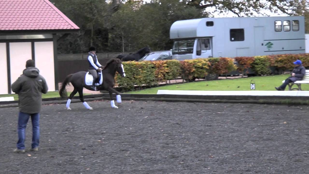 Майкл Эйлберг | Подъем галопа | HorseandRider UK