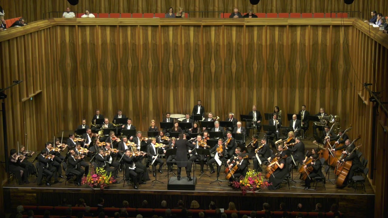 P. I. Tchaikowsky - Symphony No. 5