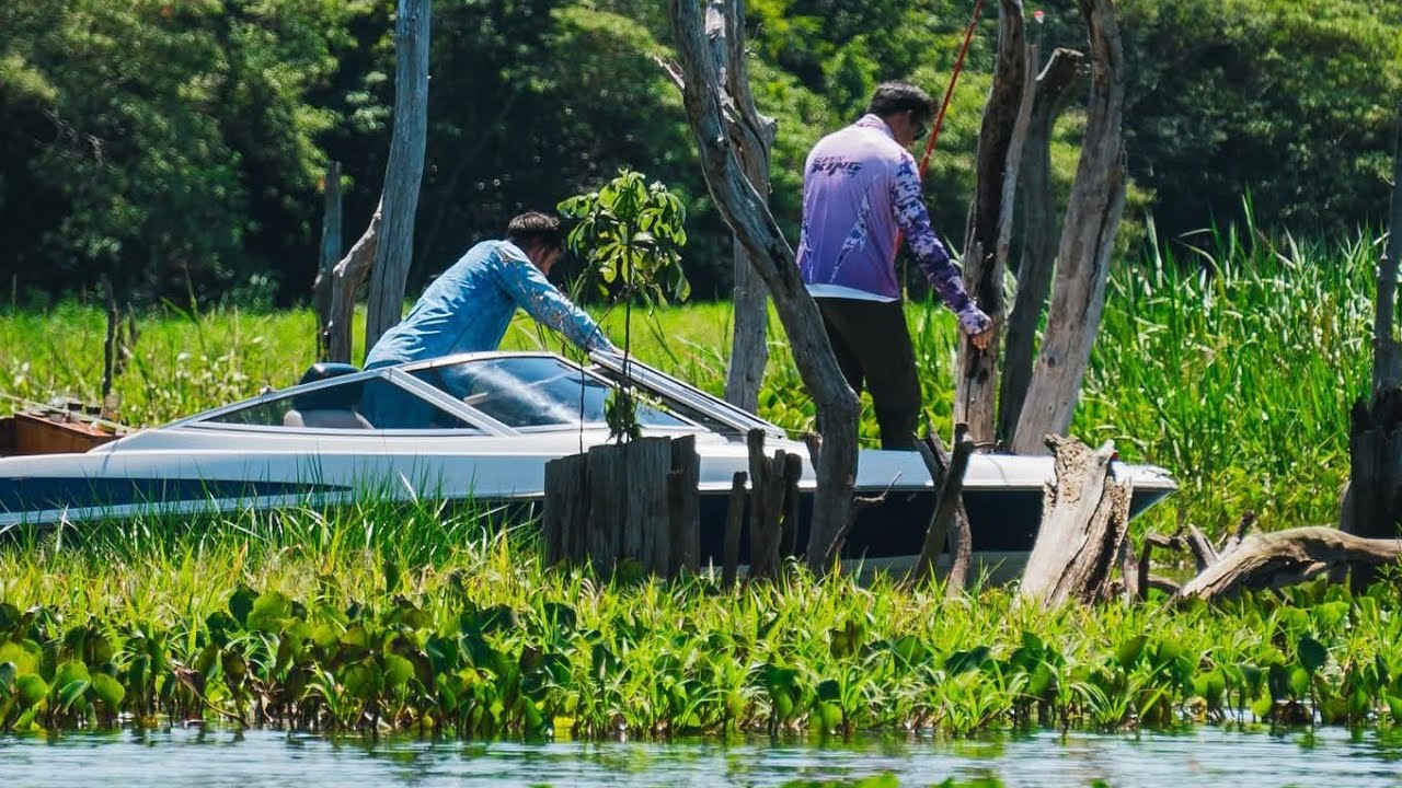 56 Concurso Internacional de pesca  Club Caza y Pesca Hohenau Paraguay #amigosdepesca