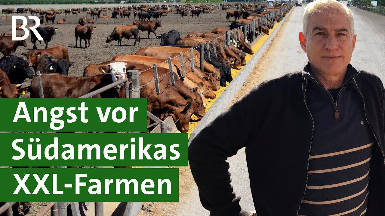 Mercosur-Abkommen im Faktencheck: Das sind die Auswirkungen für Landwirte | Unser Land | BR