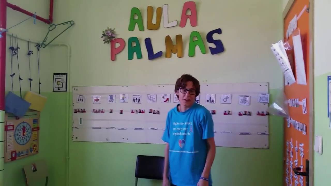 ESTRUCTURA DEL AULA PALMAS