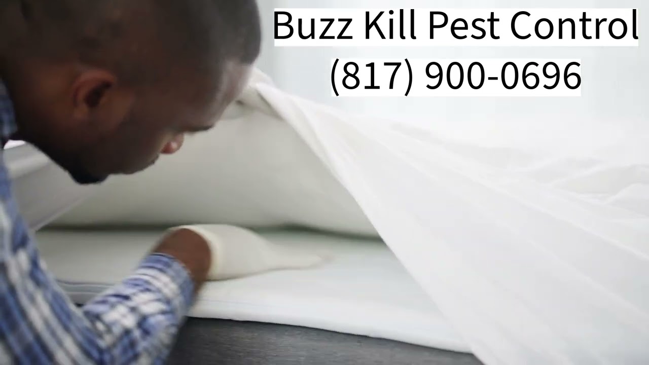 Pest Control Company Euless Texas | Buzz Kill Pest Control