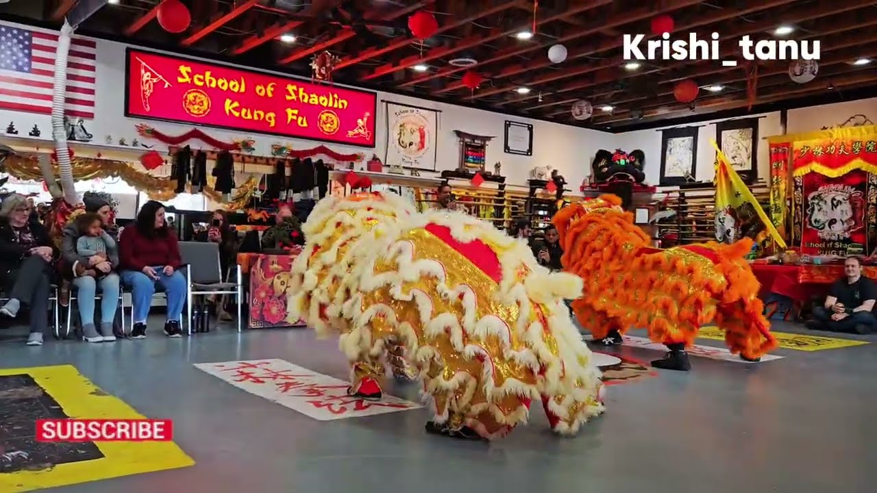 Kung Fu Warriors Perform Breathtaking Lion Dance Ritual | new year #kungfu #chinesenewyear #dance