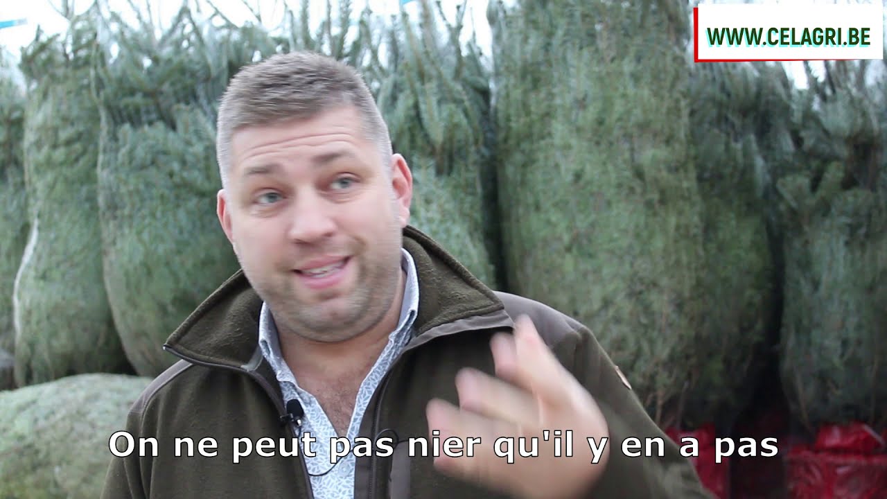 [CELAGRI] Environnement : Idées reçues sur la production des sapins de Noël