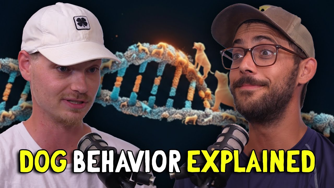 Dog Trainer: The Power of Play and Genetics