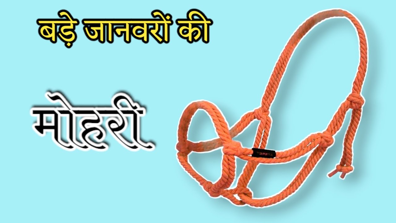 मोहरी कैसे बनाए | मोरखी कशी बनवावी | Make a new generation rope halter | mohri
