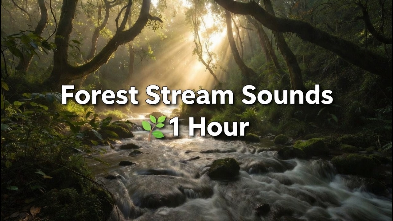 Forest Stream Sounds 🌿 Relaxing Nature Ambience for Sleep, Relaxation & Stress Relief (1 Hour)