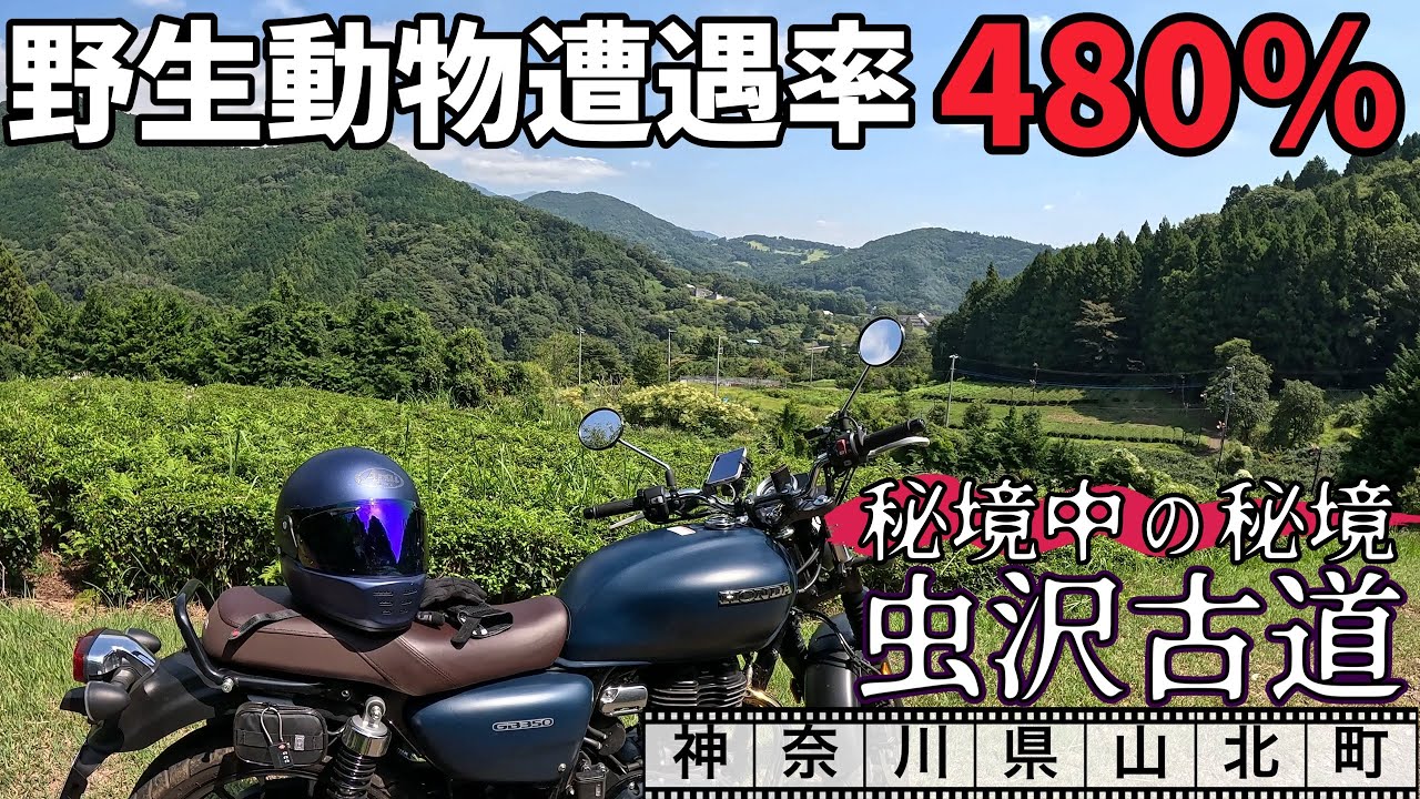GB350で行く　神奈川秘境バイクツーリング　対決虫沢古道