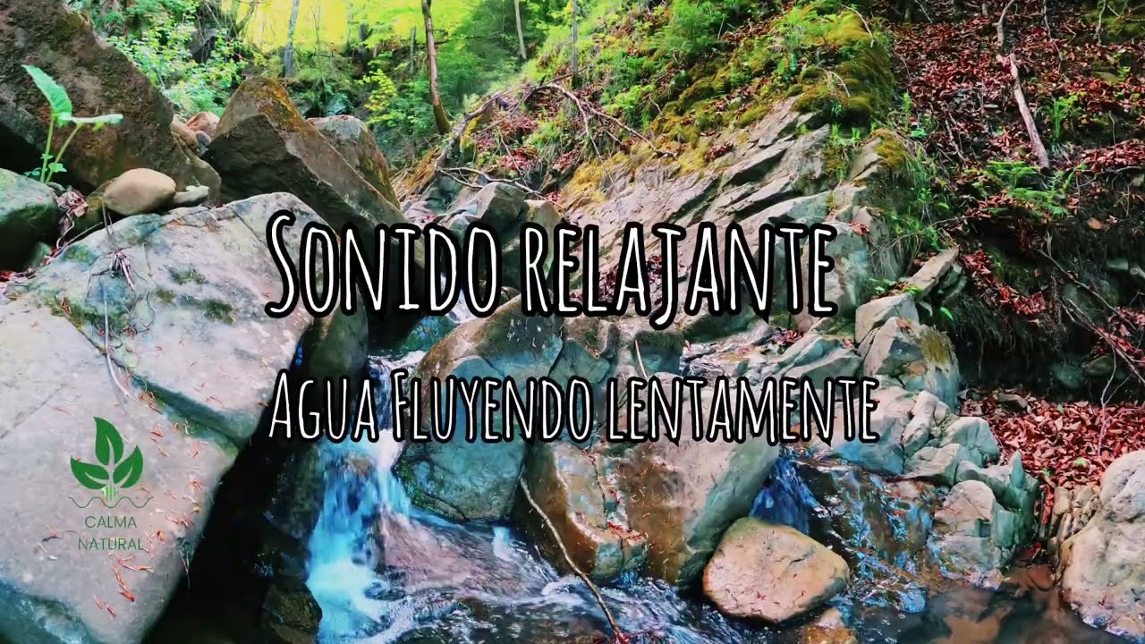 Sonido relajante - Agua Fluyendo lentamente