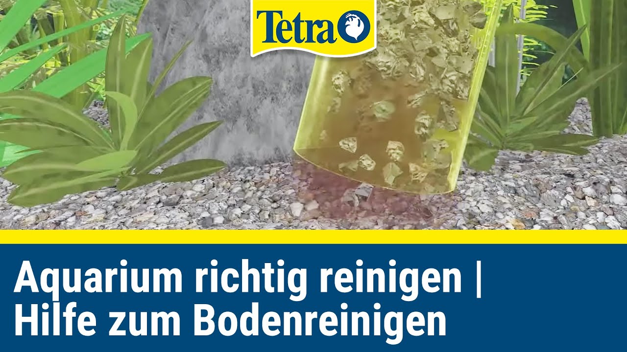 Aquarium richtig reinigen | Schnelle Hilfe zum bodenreinigen