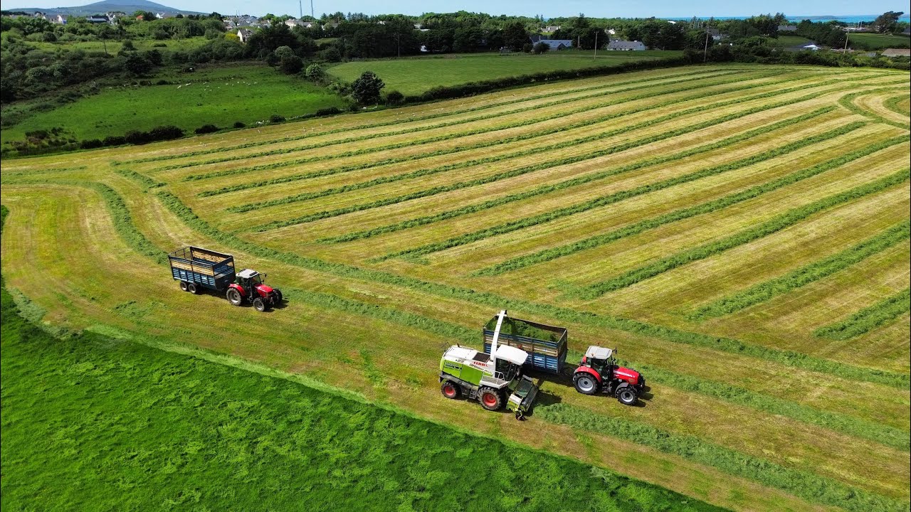 Silage 2024 - Bobby Doherty Agri
