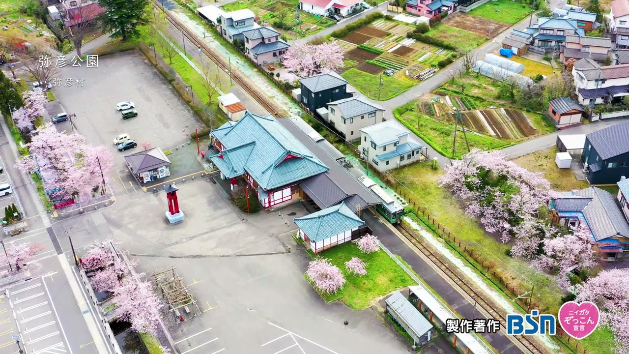 第132回「桜と弥彦公園」（弥彦村）2021年4月17日放送
