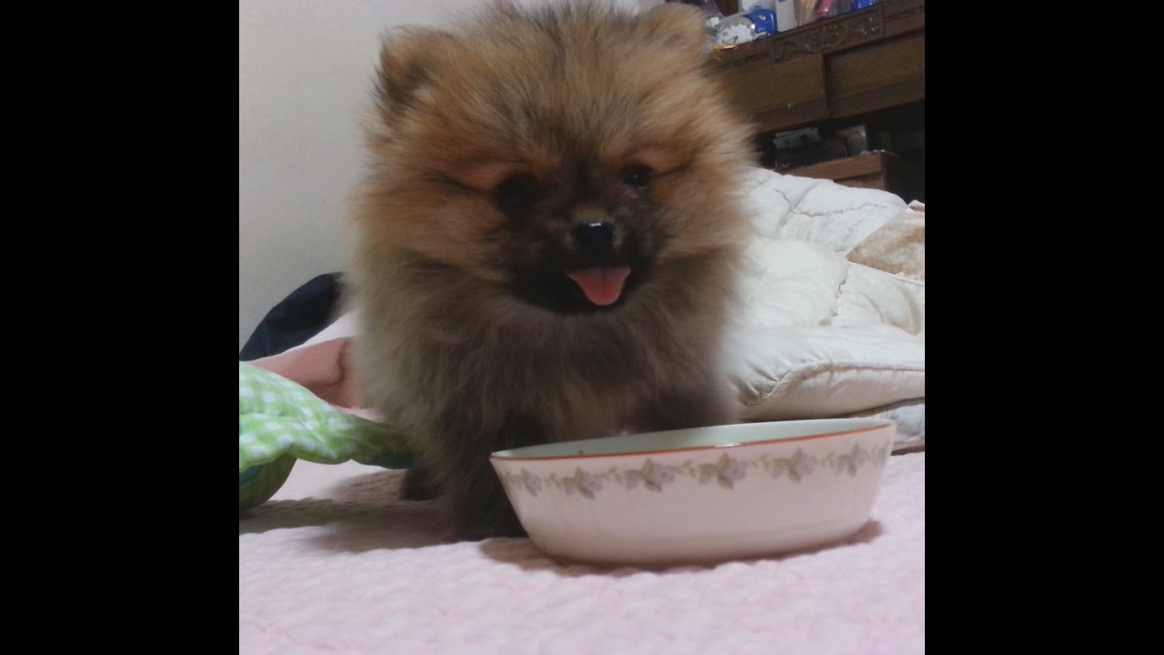 Time to eat!
