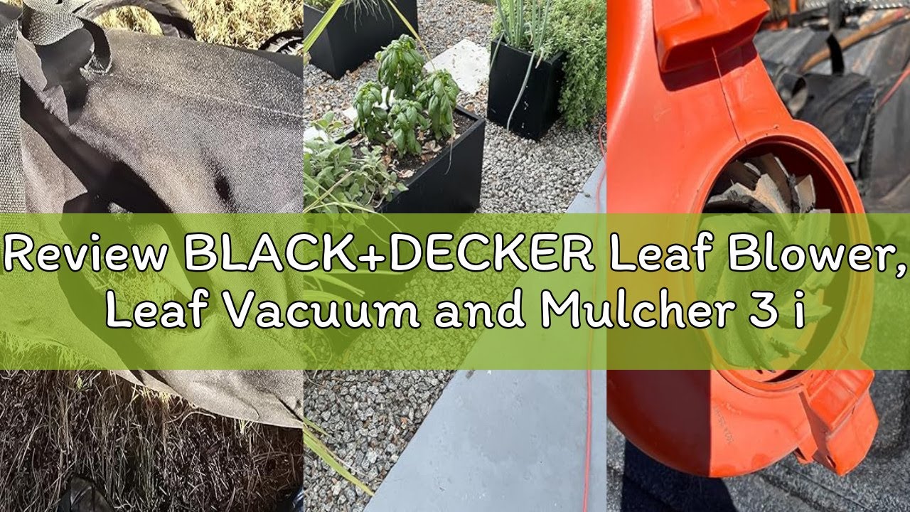 Review BLACK+DECKER Leaf Blower, Leaf Vacuum and Mulcher 3 in 1, Backpack Blowers for Lawn Care,250