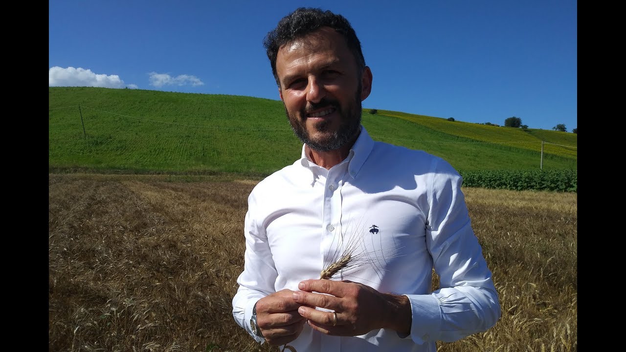Pastificio Mancini, viaggio italiano dal grano alla pasta