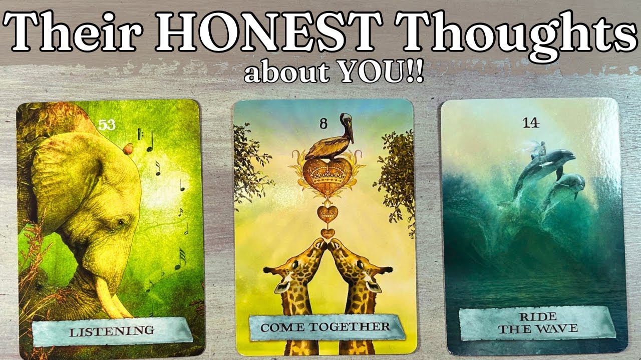 💬🤔💭 Their HONEST Thoughts about You!!  Detailed Love Pick A Card Timeless LOVE Tarot reading