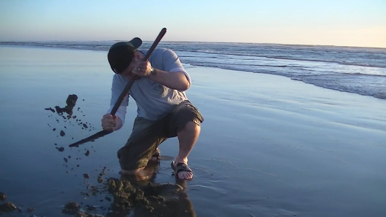 WA (Shell)fish Quest EP 19: Razor Clam