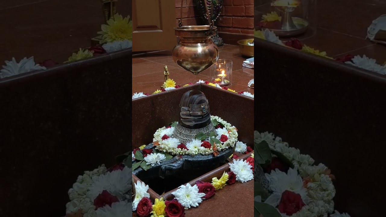 Rudrashtakam Stotram | Mahashivratri | Sri Dakshineswara Shivalaya | Matrudhama |