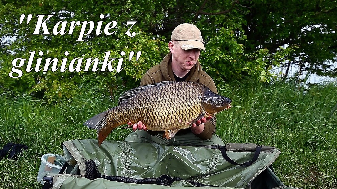 Karpie z glinianki / Łowisko Szachty w Poznaniu / Relacja z zasiadki karpiowej