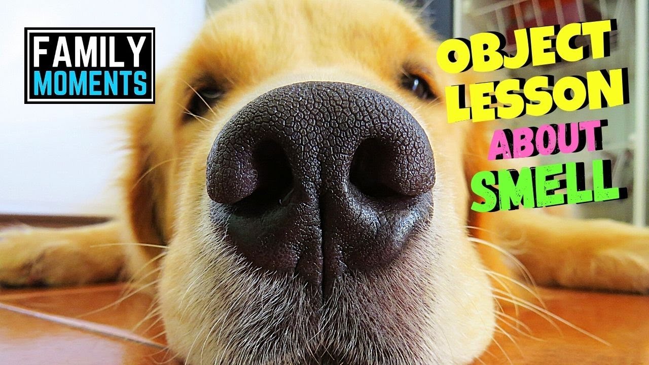 Children's Sermon Bible Lesson - THE AROMA OF CHRIST