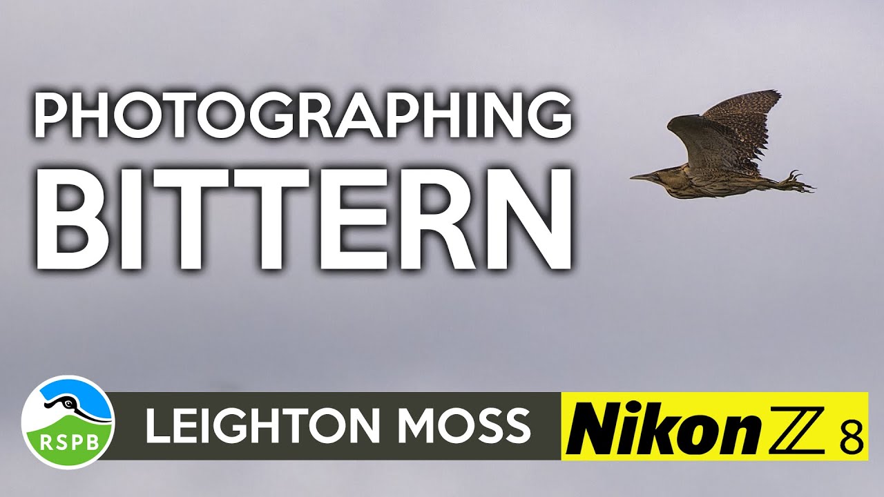 Photographing Birds at RSPB Leighton Moss with my Nikon Z8
