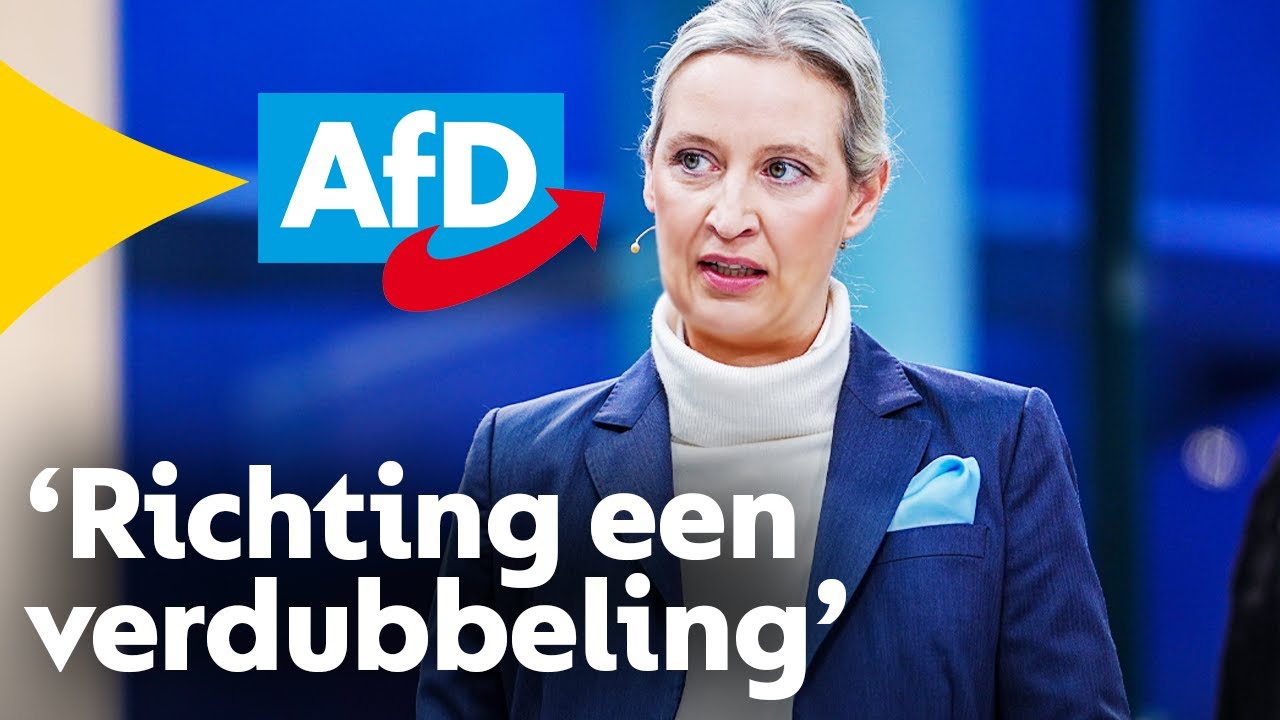 AfD stijgt fors in de peilingen: 'op weg naar verdubbeling'
