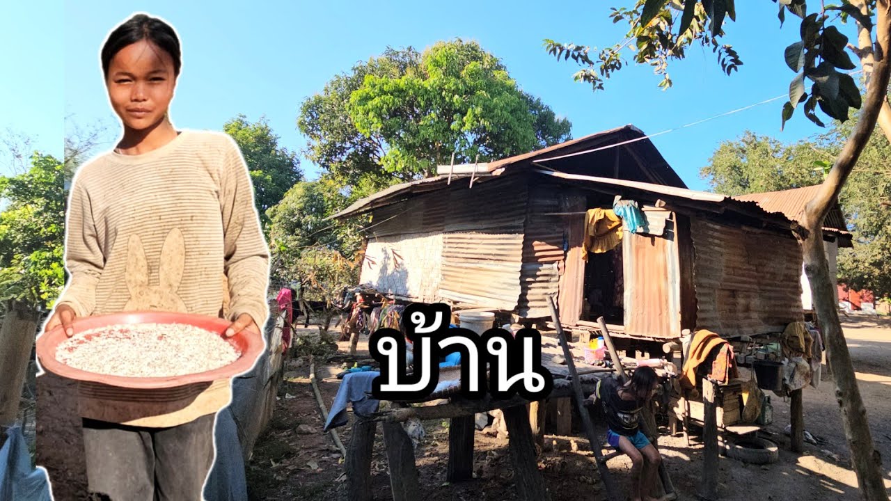 ตามมาถึงบ้านน้องที่ขายไข่มดแดงแม่ถึงกับร้องไห้เกิดอะไรขึ้น 14 กุมภาพันธ์ ค.ศ. 2026