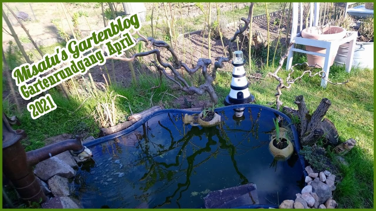 Gartenrundgang im April 2021 ✪ Misatu's Gartenblog 17/21 | German
