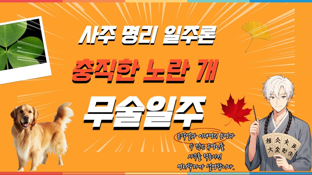 사주 공부에 도움이 될 일주론 무술일주
