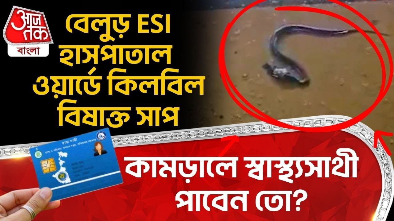 বেলুড় ESI হাসপাতাল ওয়ার্ডে কিলবিল বিষাক্ত সাপ, কামড়ালে Swasthya Sathi পাবেন তো? | Belur Hospital |DN