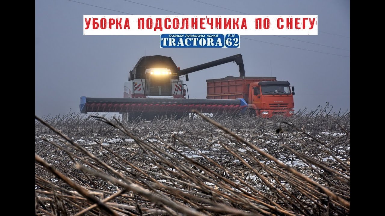 Комбайны ACROS 595+ на уборке подсолнечника